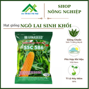 Hạt giống NGÔ LAI SINH KHỐI SSC586. Giống chuẩn, phát triển mạnh