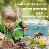 Life Cycle Animal Plant Figurines Preschool Learning Activities Teaching Aid Educational Toys For Boys Girls Gifts