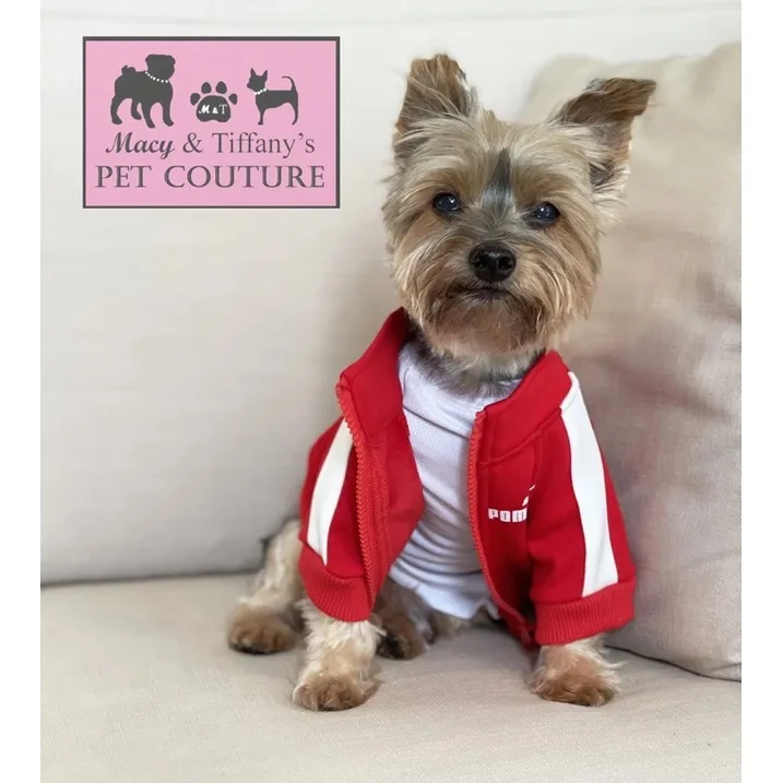 Puma Inspired Dog Cat Pet Jacket Clothes Big dogs breed clothes (RED