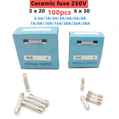【YF】 100pcs 5x20mm 6x30mm ceramics fuse 250V 0.5 1 2 3 4 5 6 8 10 15 20 25 30A  Electronic component voltage protection