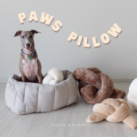 POOCH &amp; PURRR | Paws Pillow หมอนตุ๊กตา ตุ๊กตาของเล่นสุนัข ซ่อนขนม ซ่อนอาหาร ของเล่นมีเสียง