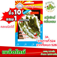 (ซื้อ10แถม1) เมล็ดพันธุ์ เมล็ด ไทม์ Thyme ประมาณ 2,000เมล็ด 3A สามเอ ผักสวนครัว เมล็ดพันธุ์พืช เมล็ดผัก เม็ดผัก พืชผัก