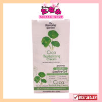 Cica revitalizing cream #ครีมใบบัวบก 6 กรัม