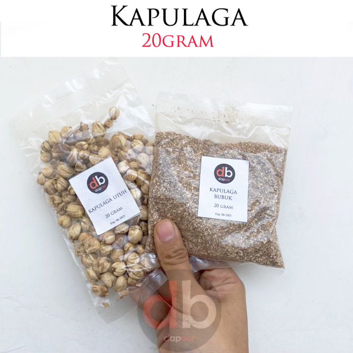 Kapulaga Kering Kapolaga Jawa Kapol 20g Lazada Indonesia 3073