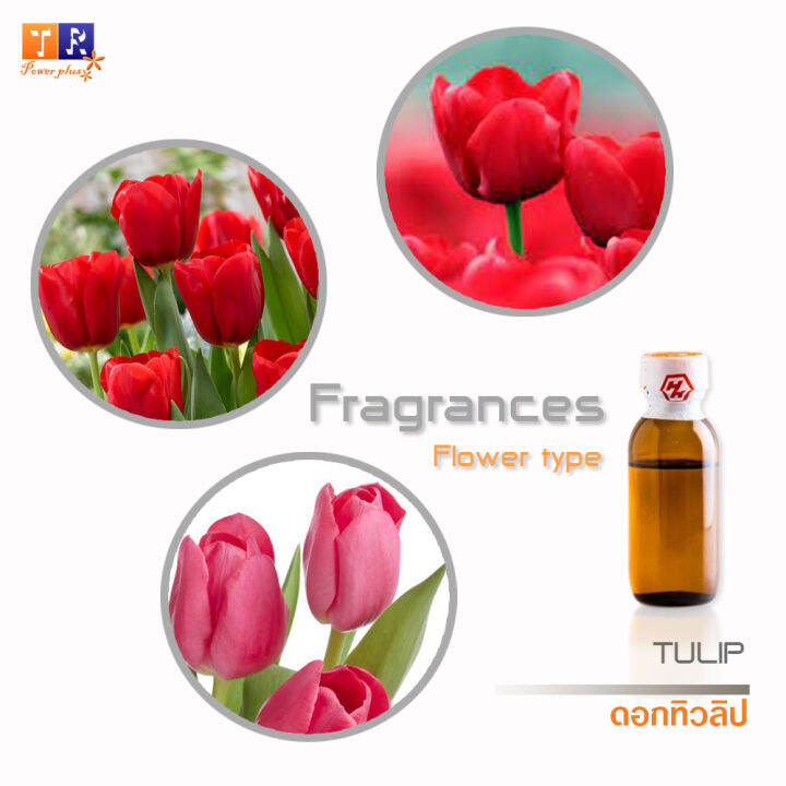 หัวน้ำหอมกลิ่น-fw23-flower-tulip-ดอกทิวลิป-ปริมาณ-25กรัม