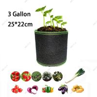 3 Gallon Plant Grow Bags Tree Pots Flower Pots Fabric Planting Garden Tools Growing Bag Fruit Vegetables Planter WB15TH