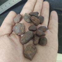 1pcs Small Natural Meteorite Rough Rare Metal Meteorite Stone Meteorite Uranolite Aerolite Aerolith Falling Stone Random shape