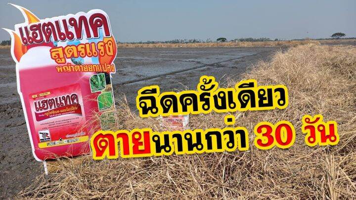 แฮตแทค-ขนาด-5-ลิตร-เกรดบาสต้าเอ็กซ์-ยาเผาไหม้