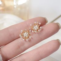 【cw】 Fireworks Earrings for Stud Earring 14K Plated Gold Accessories Pendant Jewelry