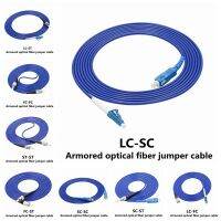 Armored optical fiber jumper SC to LC FC ST rat proof tensile single-mode single-core 2m/3m/5m/10m/20m pigtail extension Cable