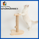 CAT TREE เสาลับเล็บแมว เสาลับเล็บแมวไม้ ที่ข่วนเล็บแมว ของเล่นแมว เสาลับเล็บแมว ที่ลับเล็บแมว ของเล่นแมวราคาถูก