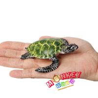 Monkey Toys - โมเดลสัตว์ Turtle เต่า ทะเล เขียว ขนาด 9.00 CM (จากหาดใหญ่)