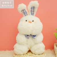 Bear Doll Girl Elaborate Birthday Gift Set Action Figure Plush Toy Cute Rabbit Throw Pillow