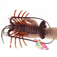 Monkey Toys - โมเดลสัตว์ Lobster กุ้งมังกร ออสเตเลีย แดง ขนาด 22.50 CM (จากหาดใหญ่)