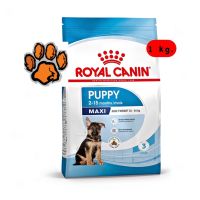 (ส่งฟรี)Royal Canin Maxi puppy อาหารสำหรับลูกสุนัขพันธุ์ใหญ่ ขนาด 1กก.