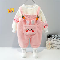 Baby Girls Boys Clothing Sets Spring Autumn Children Plush Sweater Overalls Brother Sister Kids Sportswear Infant Clothes