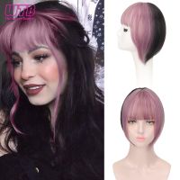 【YF】 Synthetic Mixed Ombre Straight Bangs Fringe Clip Hair Extension Increase Volume Hairpieces