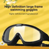 Flat Goggles Anti-fog Snorkeling Diving Plating Big Frame Adjustable Adult Men for