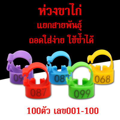 ห่วงขาไก่ ห่วงขาไก่ชน ห่วงใส่ขานก แหวนขาไก่ ห่วงพลาสติกสําหรับขาไก่เป็ดห่าน 100ตัว แยกสายพันธุ์ ถอดใส่ง่าย ใช้ซ้ำได้