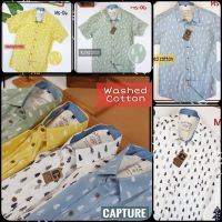 เสื้อเชิ้ตผู้ชายแขนสั้น คอปก ผ้า Cotton100% ลายต้นคริสต์มาส มีถึงอก 48 นิ้ว