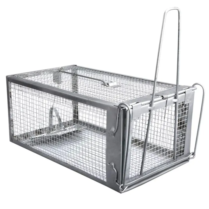 Humane rat traps centers for medicare and medicaid services nj