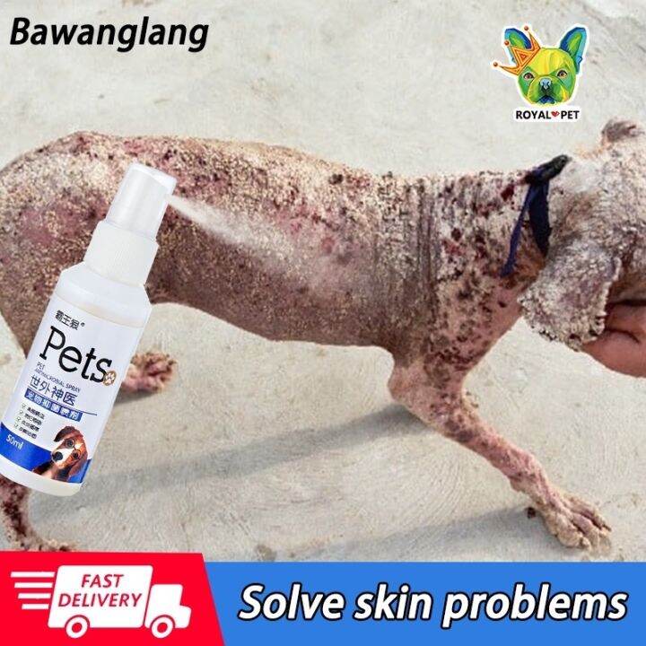 【COD】 Pet antibacterial spray Kill germs and bacteria on pets Skin