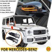 2Pcs Flashing Water Dynamic Blinker For Mercedes-Benz G M R-Class GLS W463 X164 X166 W166 W251 LED Turn Signal Side Mirror Light