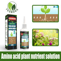 Yegbong Amino Acid Plant Nutrient Solution Organic Foliar Concentrated Fertilizer Trace Elements Promote Root Rooting Green Leaves