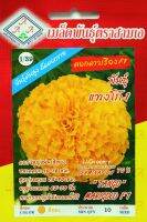 ดาวเรือง แทงโก้1 ดอกสีทอง ต้นสูง ไม้ตัดดอก F-1 Hybrid Marigold เมล็ดพันธุ์ตราสามเอ อัตราความงอก 70% จำนวนเมล็ด ประมาณ 10 เมล็ด