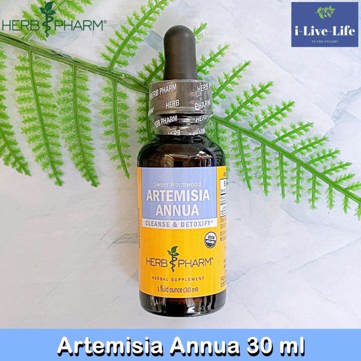 โกฐจุฬาลัมพา อาร์เทมิเซีย Artemisia Annua 30 ml Herb Pharm Lazada.co.th