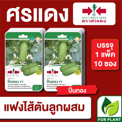 ผักซอง ศรแดง เมล็ดพันธุ์ พันธุ์ผัก แฟง ปิ่นทอง F1 บรรจุแพ็คล่ะ 10 ซอง ราคา 225บาท