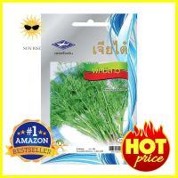 เมล็ดพันธุ์ผักชีลาว ตราเจียไต๋DILL SEEDS CHIA TAI **คุณภาพดี**