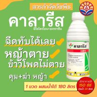 ส่งไว! คาลารีส คุมและฆ่าหญ้าในข้าวโพด ฉีดทับข้าวโพดได้ หญ้าตาย ข้าวโพดไม่ตาย