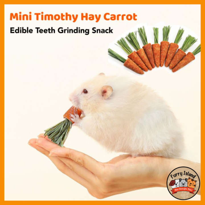 Image showcasing Natural Mini Carrot Timothy Hay Hamster Snacks Edible Dental chew molar ...