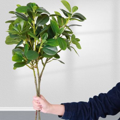 Decorative Artificial Ficus Plants for Home Decor Fake Greenery With Long Branches for Interior Aesthetics Spine Supporters