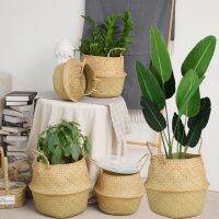 [COD] Rattan flower seagrass basket bird of paradise qin leaf banyan turtle back folding storage large cross-border