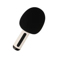 ไมโครโฟน TECHPRO Microphone Speaker