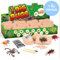 VB091 ชุดของเล่น ชุดขุดBugs ชิ้นเล็ก DIY ของเล่นเพื่อการศึกษา