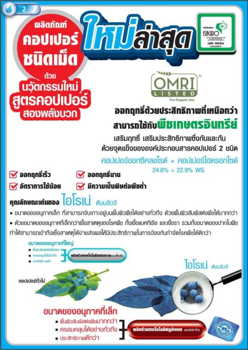 ไอโรเน่-1กิโลกรัม-airone-wg-คอปเปอร์ออกซี่คลอไรด์-คอปเปอร์ไฮดรอกไซด์-copper-oxychloride-copper-hydroxide-24-6-22-9-wg-ป้องกันเชื้อราและแบคทีเรีย