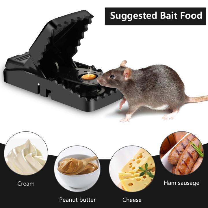 Sweethouse Mouse Trap High Quality Good Practical High | Lazada PH