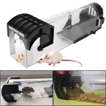 20PCS 47 Large Size Catcher Rat Glue Trap Rodent Board Indoor