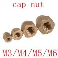 20Pcs DIN1587 M3 M4 M5 M6 Brass Cap Hex Nuts Decorative Dome Head Cover Semicircle Acorn Nut