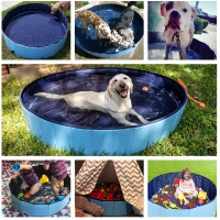 Foldable Pet Pool Bath Swimming Tub Big Size Dog Swimming Pool Bathtub Pet Collapsible Bathing Pool for Dogs Cats Kids