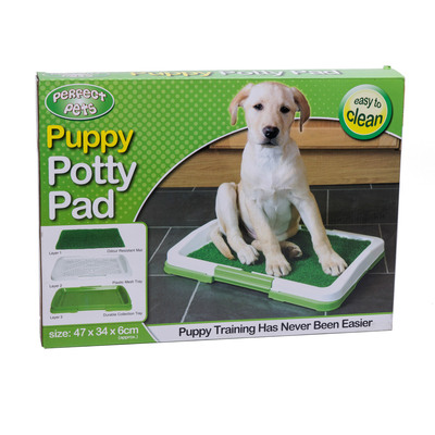 Puppy clearance potty patch