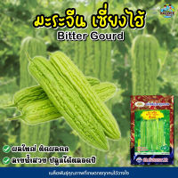 เมล็ดมะระจีน เซี่ยงไฮ้ Bitter Gourd เมล็ดพันธุ์มะระจีน เมล็ดพันธุ์ผัก เมล็ดผักสวนครัว ตราภูเขาทอง