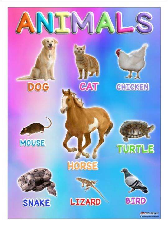 EDUCATIONAL POSTER TARPAULIN FOR KIDS ANIMALS 45x60cm | Lazada PH