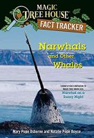 Narwhals and Other Whales : A Nonfiction Companion to Magic Tree House #33; Narwhal on a Sunny Night (Magic Tree House Fact Trackers) (DGS) หนังสือภาษาอังกฤษมือ1(New) ส่งจากไทย