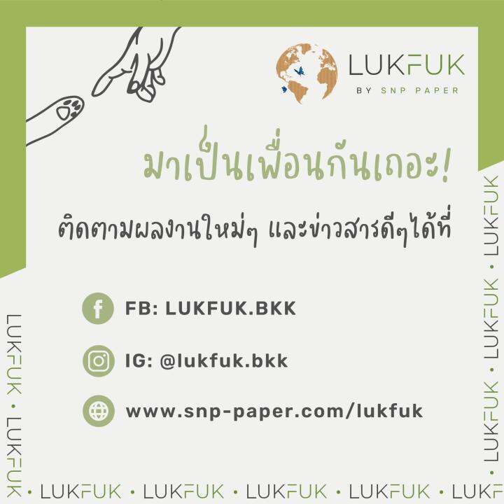 lukfuk-บ้านและที่ลับเล็บแมว-ปลากระป๋องเปิดฝา-จากกระดาษลูกฟูก-ขนาดใหญ่