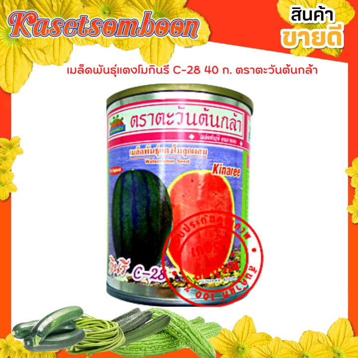 แตงโมกินรี188-101-c-28-c-29-เอ็กตร้า-40-ก-เมล็ดพันธุ์ตราตะวันต้นกล้า-เแตงโม-ลูกใหญ่