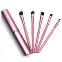 5pcs Travel Portable Mini Eye Makeup Brushes Set Smudge Eyeshadow Eyeliner Eyebrow Brush Lip Make Up Brush Kit Professional